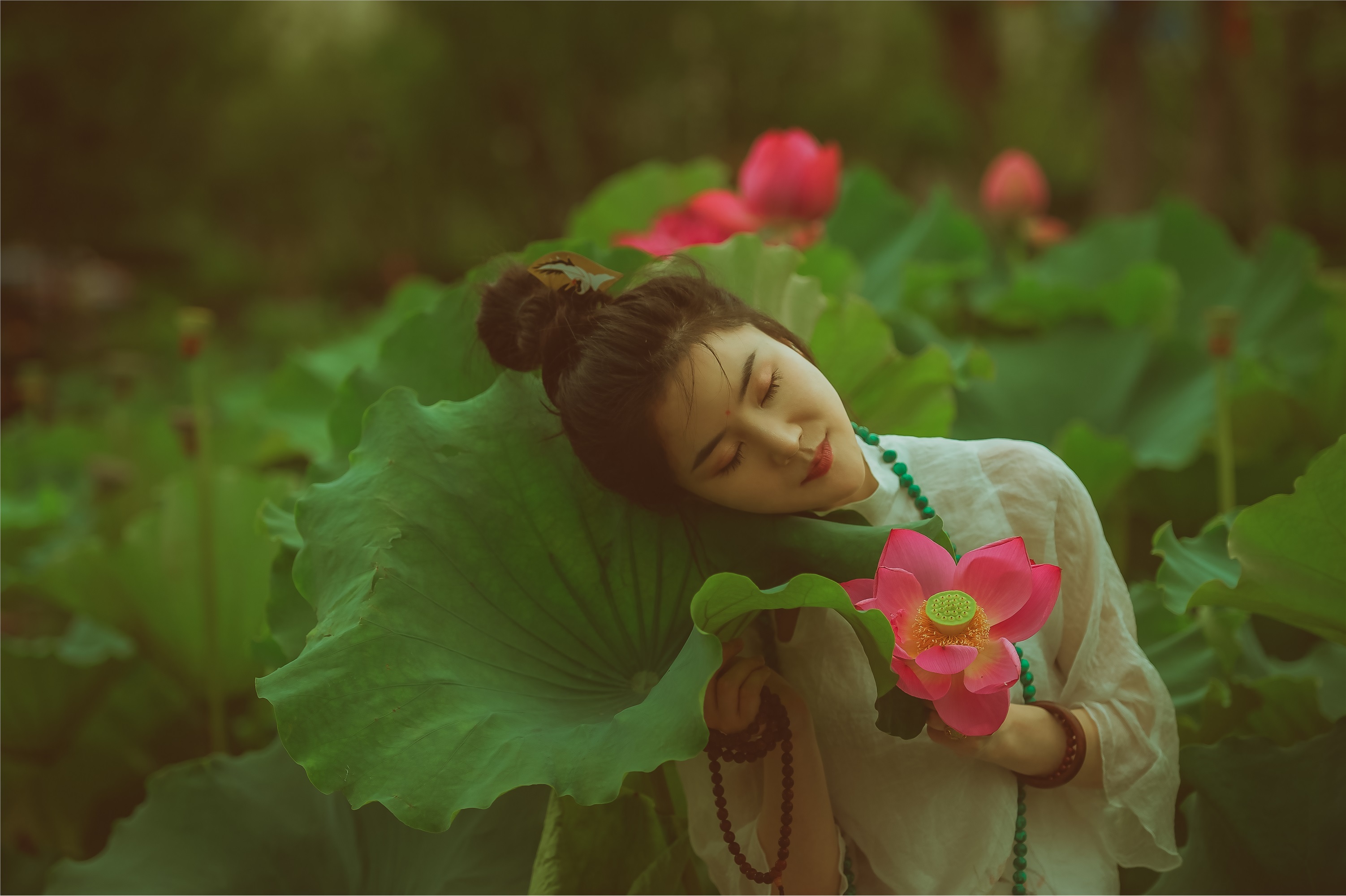 YITUYU艺图语 2021.08.14 赏荷记 颗颗树